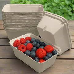 1,080pcs, 250g, Pulp Punnets, 14 x 9cm x 5cm Trays