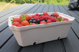 Fruit Pulp Punnets, Suitable for 500 grams, Size: 19cm x 11cm x 6.3cm