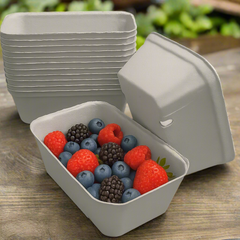 600pcs, 500g, Pulp Punnets, 19 x 11cm x 6.3cm Trays