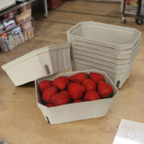 600pcs, 500g, Pulp Punnets, 19 x 11cm  x 6.3cm Trays