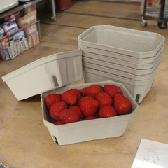 500g Pulp Punnets biodegradable and suitable for fruits, berries and vegetables and fresh produce for farmers