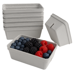 250g Pulp Punnets biodegradable and suitable for fruits, berries and vegetables and fresh produce for farmers