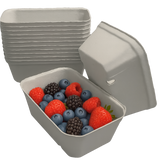 500g Pulp Punnets biodegradable and suitable for fruits, berries and vegetables and fresh produce for farmers