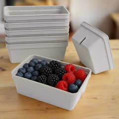 1,080pcs, 250g, Pulp Punnets, 14 x 9cm x 5cm Trays