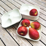 4 Hole Biodegradable Apple Fruit Trays