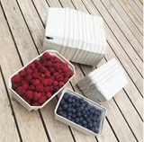 250g Biodegradable Fruit and Veg Punnets, 14 x 9cm Size Trays