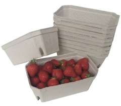 500g Biodegradable Fruit and Veg Punnets, 14 x 9cm Size Tray - SACKMAN